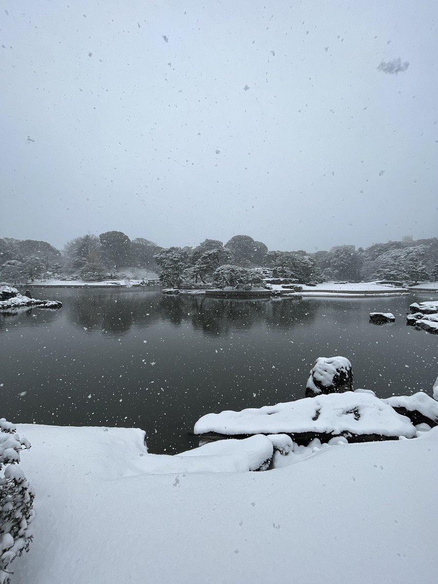 info_theiere's tweet photo. #六義園 #雪景色 https://t.co/aeLZnhQT0f