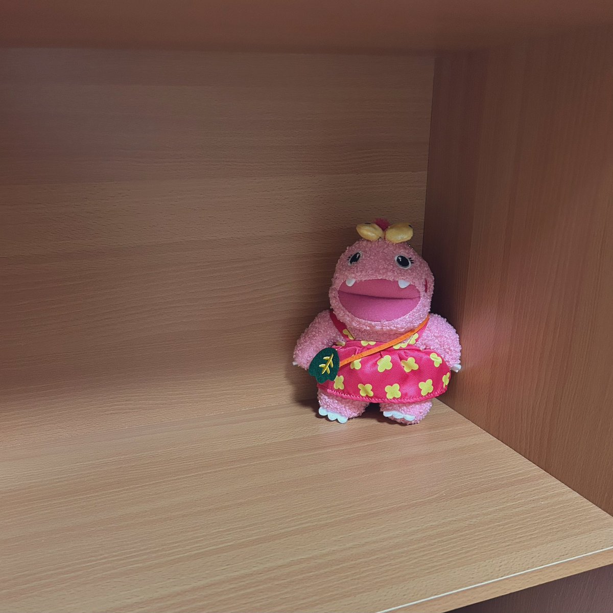 ほんま可愛い
我が家に来てくれてありがとう