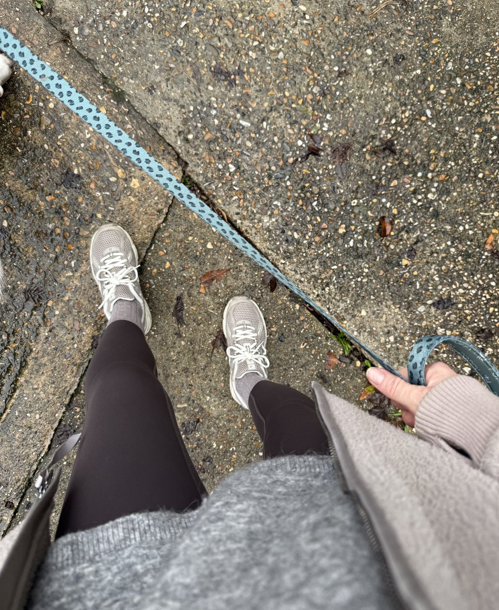 I walk fast so you’d better keep up or you’ll be dragged along 🐕 

#findom #simp