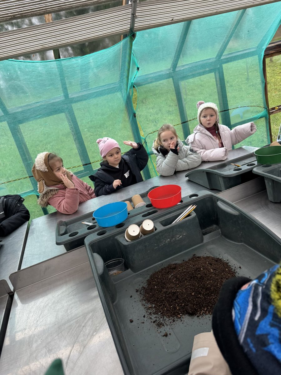 stjosephskly's tweet photo. We have planted our own seeds and are looking forward to watching them grow back at school! #SJkScience #WillowClass https://t.co/M3Jc4EZsvs