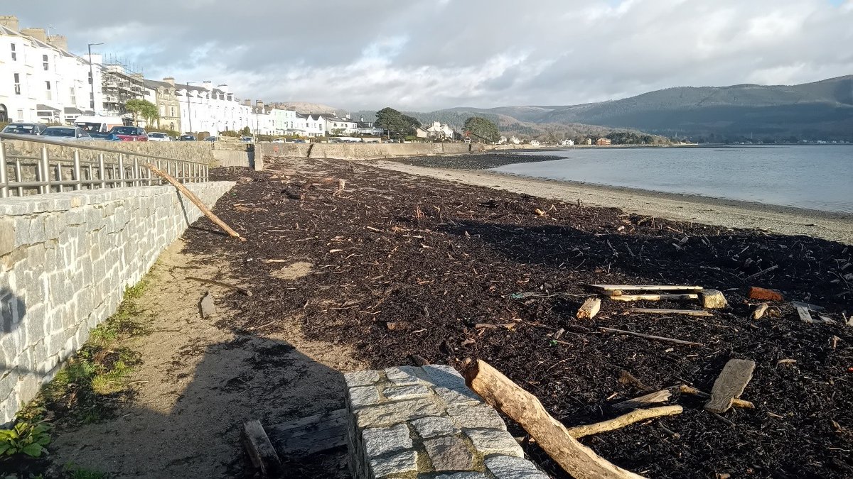 nmdcouncil's tweet image. 𝐒𝐭𝐨𝐫𝐦 𝐂𝐡𝐚𝐧𝐝𝐫𝐚 𝐂𝐥𝐞𝐚𝐧-𝐔𝐩 𝐚𝐭 𝐖𝐚𝐫𝐫𝐞𝐧𝐩𝐨𝐢𝐧𝐭 𝐁𝐞𝐚𝐜𝐡

Following #StormChandra clean-up operations took place at Warrenpoint Beach on Friday.

Diggers were onsite removing debris after high winds and strong seas left seaweed, tree branches and broken