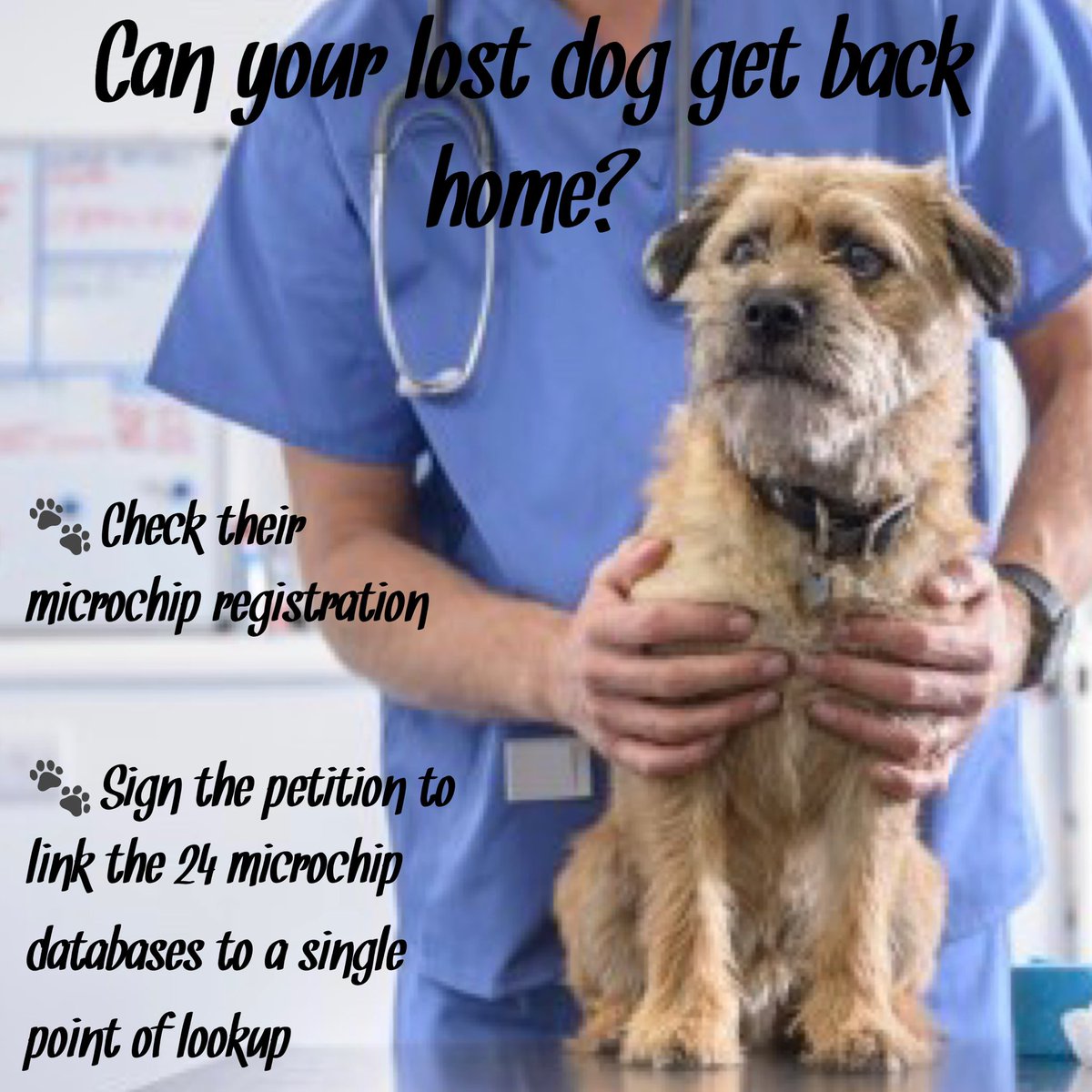SAMPAuk_'s tweet photo. Could your #lost #dog get back home? If you have #microchipped your dog pls check the microchip registration has up to date contact info & sign the #petition to link the 24 #microchip #databases to a single point of lookup: https://t.co/tgdauaha5f
#MakeChipsCount #PetTheftReform https://t.co/r4sSFXldXx