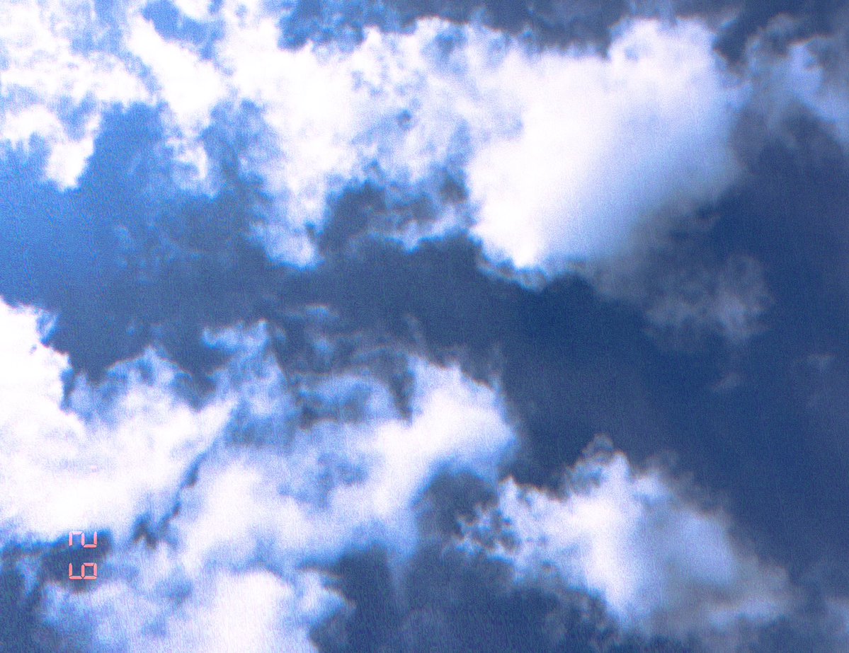 今日は健康診断行ったと見せかけて、キャンセルした。