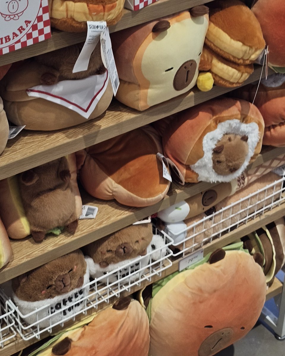 fromursummer's tweet image. 근황...입니다