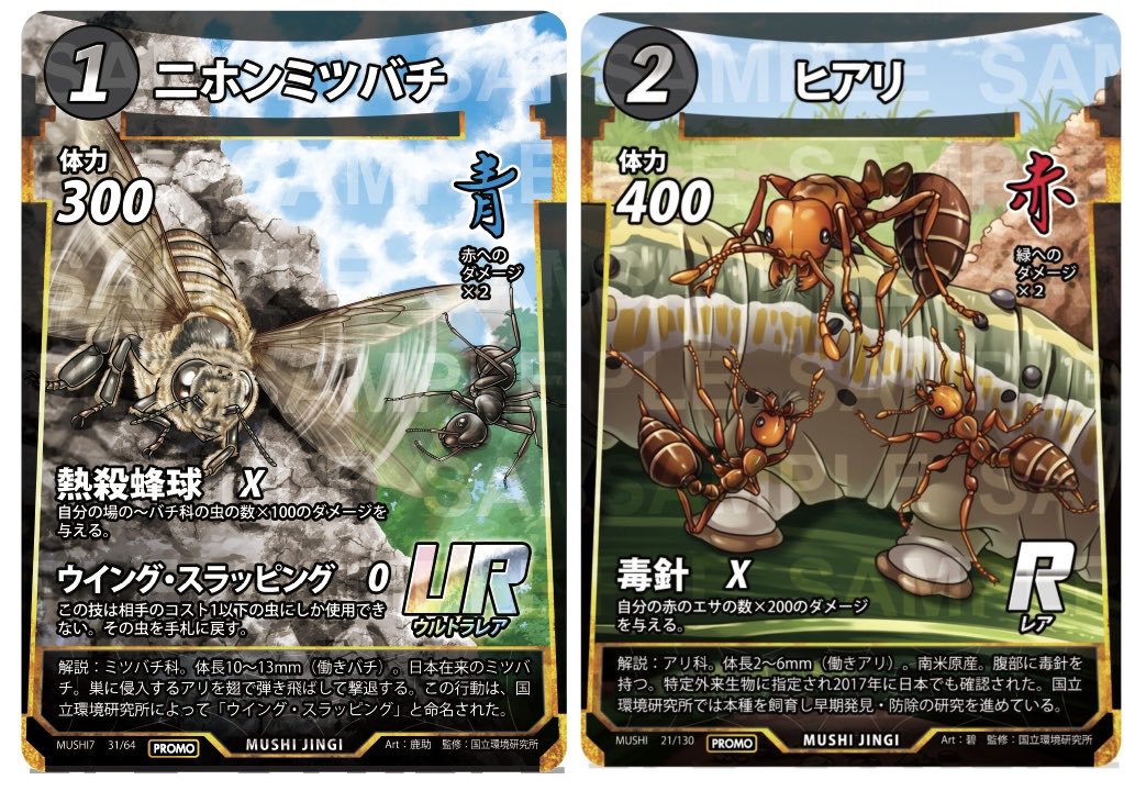 2/21(土)久しぶりに岡崎での開催🥳✨️ 無料駐車場も完備されている