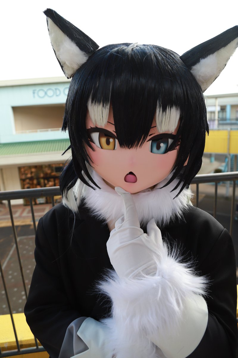 幽霊狼 tweet media