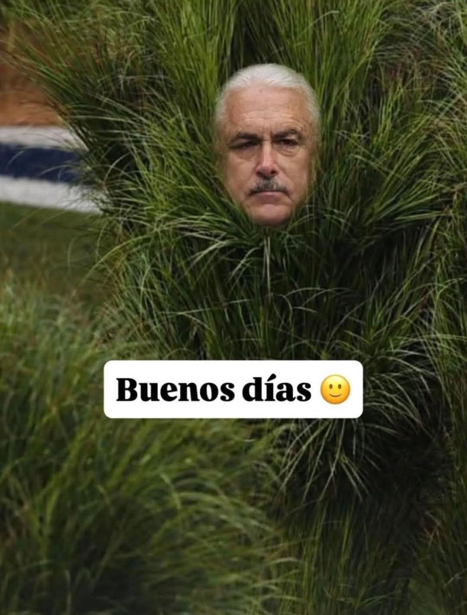 Lizzita😍 tweet media