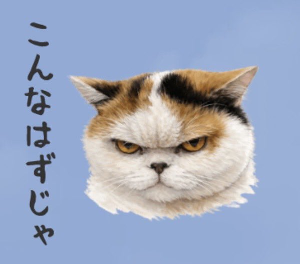 猫は液体 (@jirosan77) / Posts / X