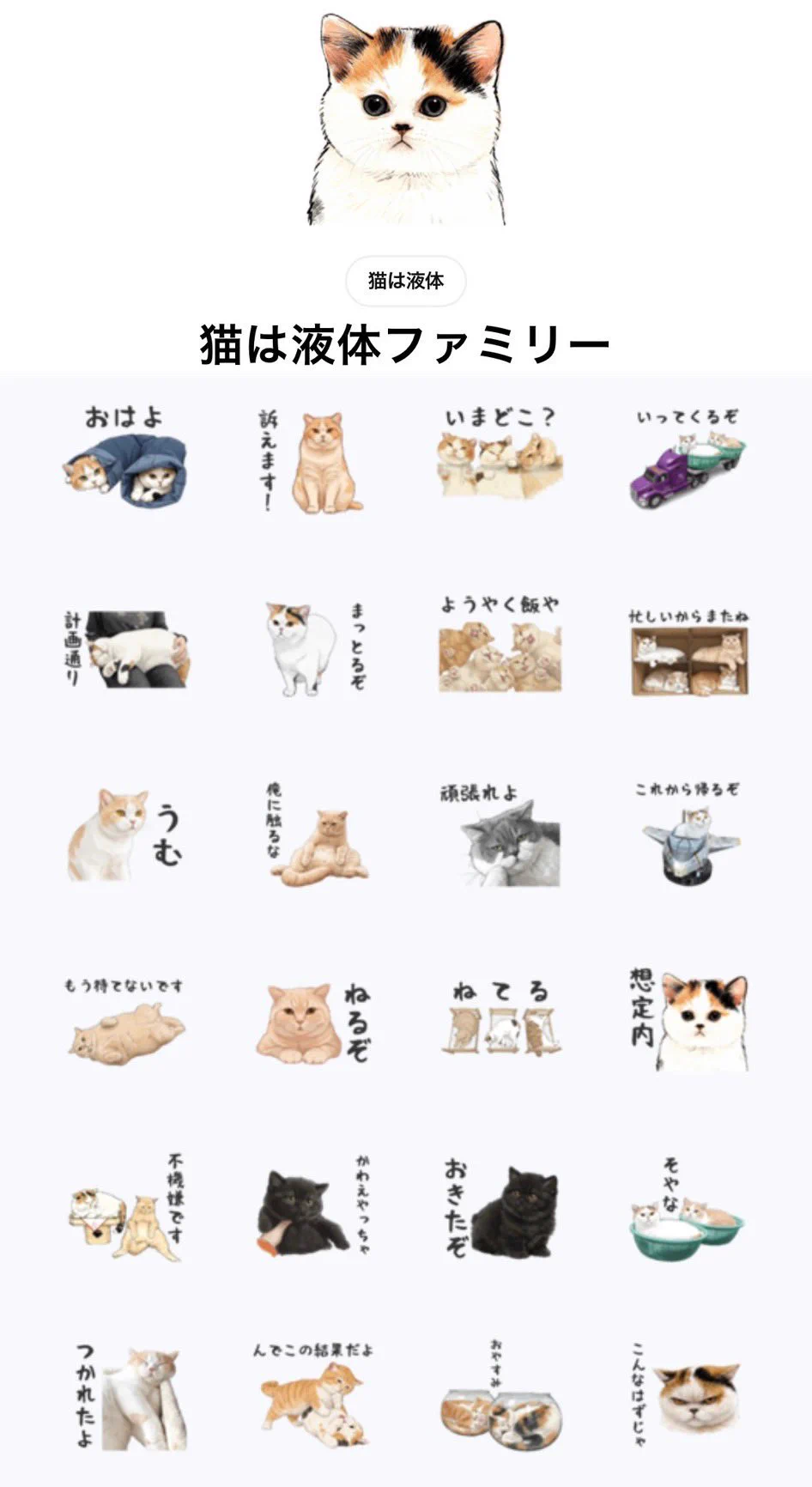 猫は液体 (@jirosan77) / X
