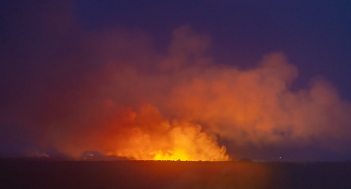 Photography Tricks and Tips tweet media