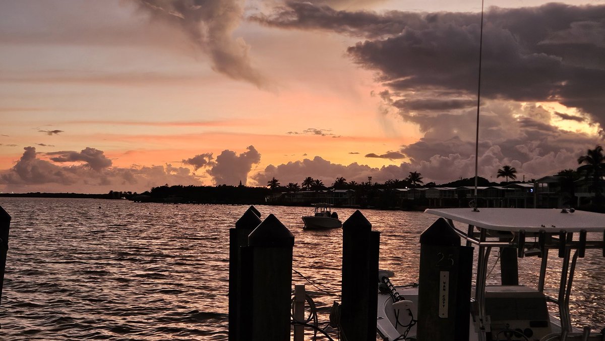 Judy Mick tweet media