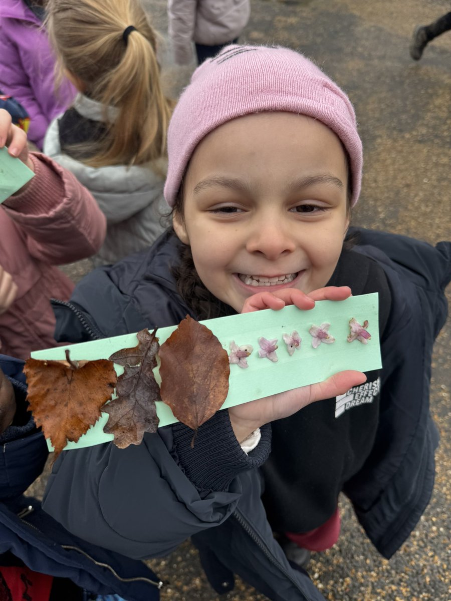 stjosephskly's tweet photo. Lots of exploring around the gardens! Look at all of the things we found! The children were really careful to only take things that had fallen on to the ground. #SJkScience #WillowClass @RHSHarlowCarr https://t.co/8cQsspFM9b