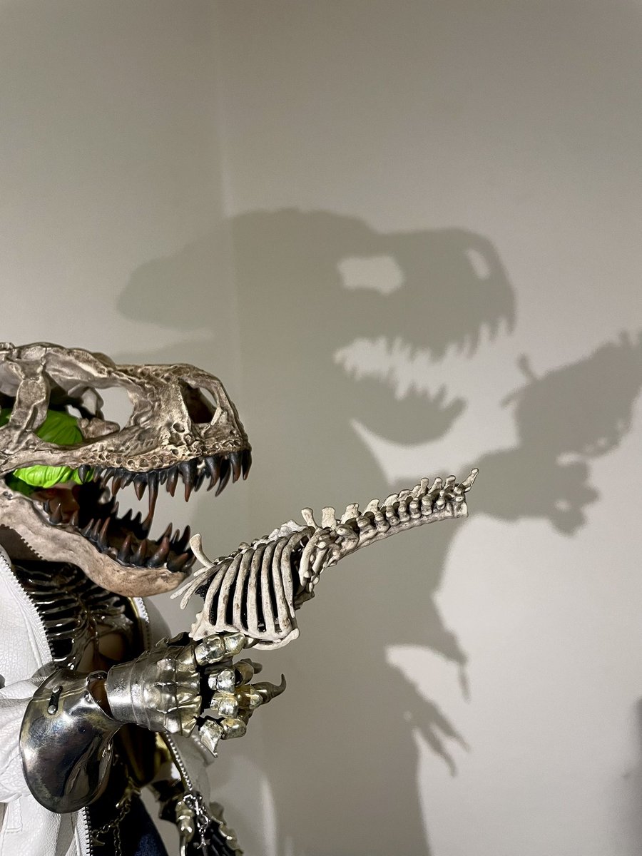 Entei Ryu ❄️WF 6-20-13 (@BadZrlwt) / Posts / X