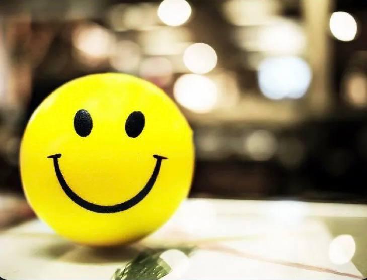 Mr. Pool tweet media