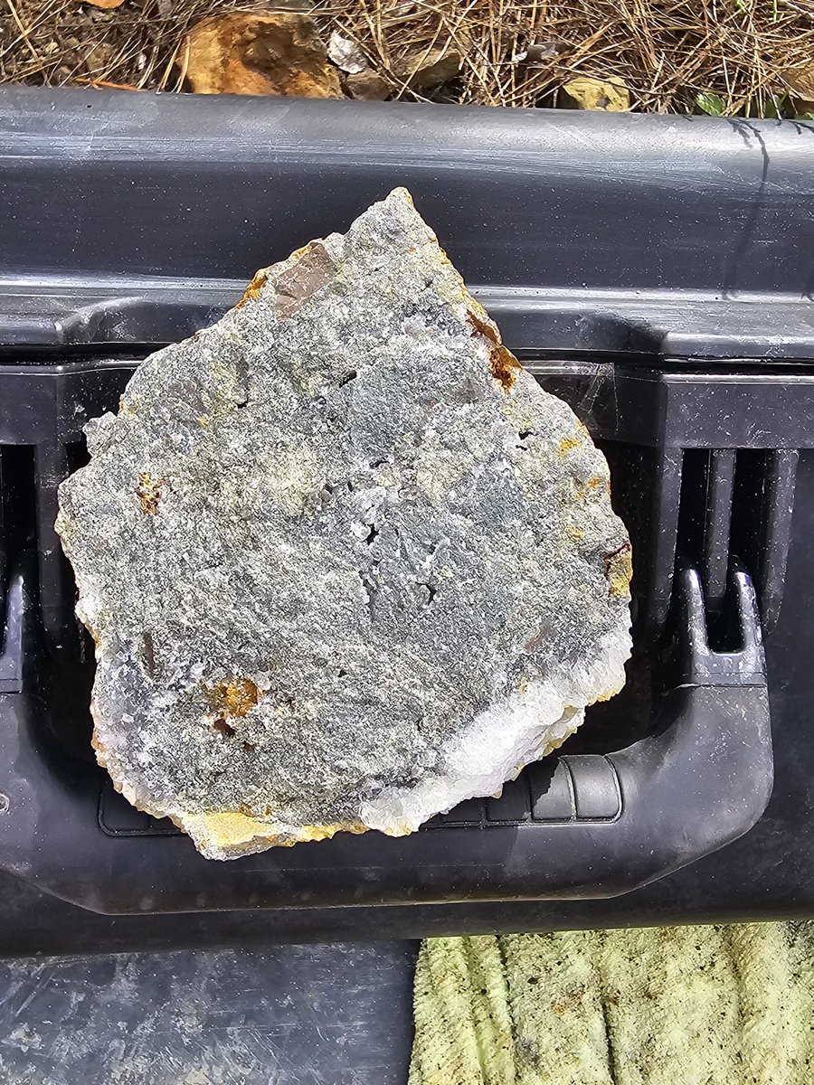 Axies Ventures tweet media