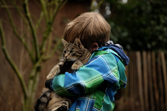 BfTGermany's tweet photo. Haustiere können eine wichtige Rolle in der emotionalen Entwicklung von Kindern spielen. Von Trostspenden bis hin zur Förderung von Empathie und Routine – die Mensch-Tier-Beziehung unterstützt das Wohlbefinden von Kindern schon von klein auf. https://t.co/qE0CcU2NfK