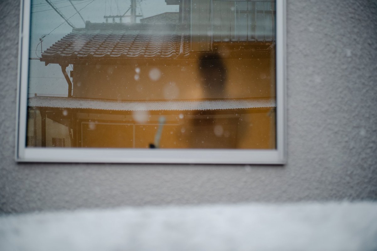 ykkga's tweet photo. 普段降らないから雪が降る写真撮っちゃう。
#fp #sigmafp https://t.co/nbaow0vHuN