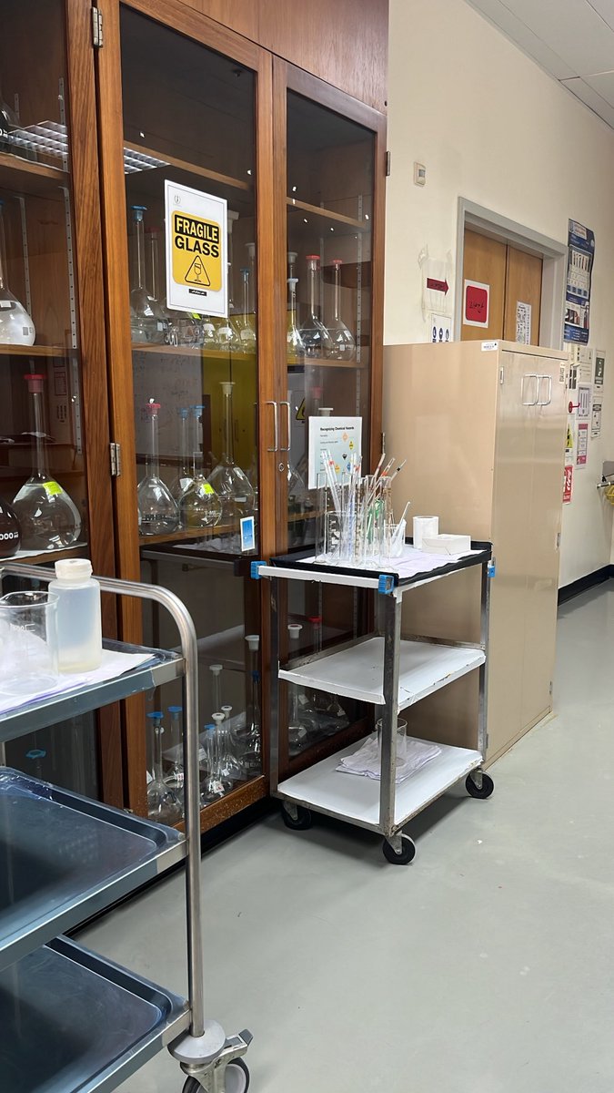 sarabdrrr's tweet photo. My last lab is same as my firt🥹 https://t.co/iZwNmzpohf