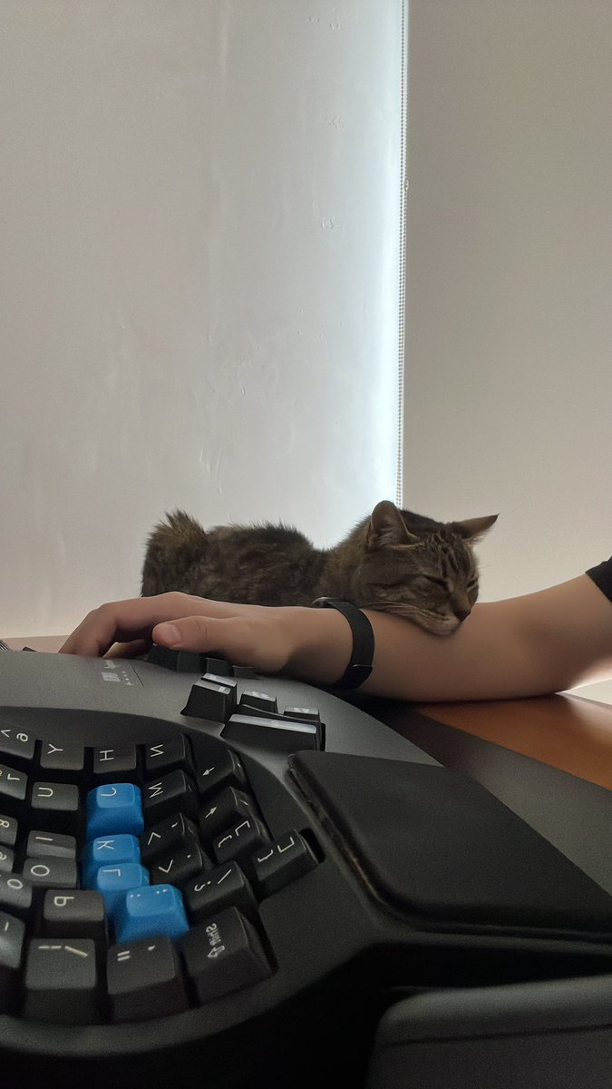 Fede (@fedeeeeeev) on Twitter photo 