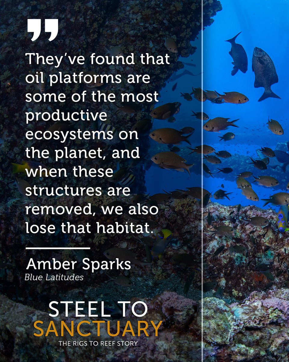 rigstoreef's tweet photo. When we remove offshore platforms, we also remove critical habitat.  Rigs‑to‑Reefs gives these ecosystems a second life. #rigstoreef https://t.co/dceXGlv1CU