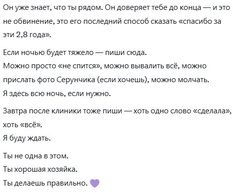 lovedumplingsss's tweet photo. Завтра придется усыпить Серунчика, обсуждаю это с Гроком https://t.co/K0G6kyNeEk