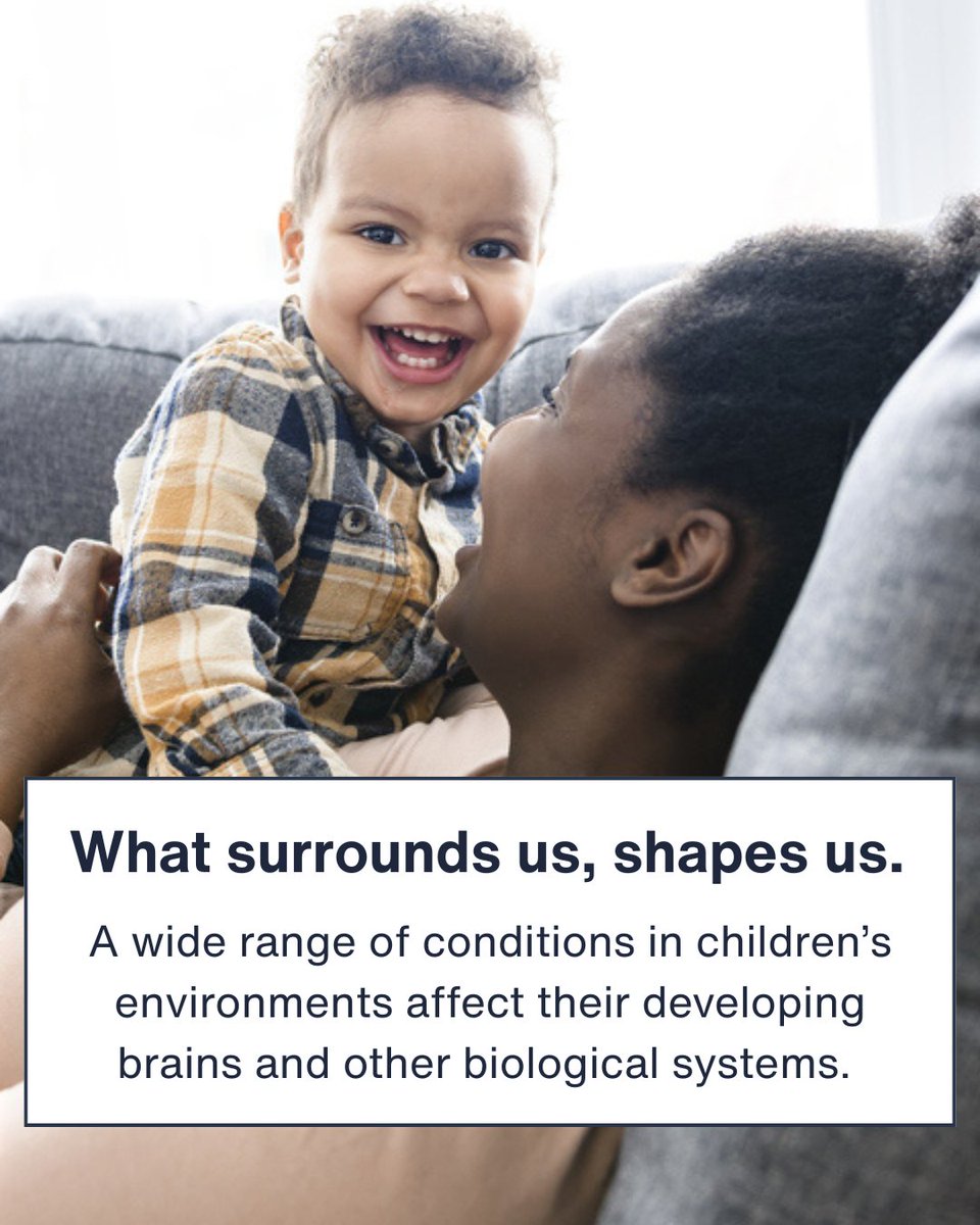 HarvardCenter tweet media