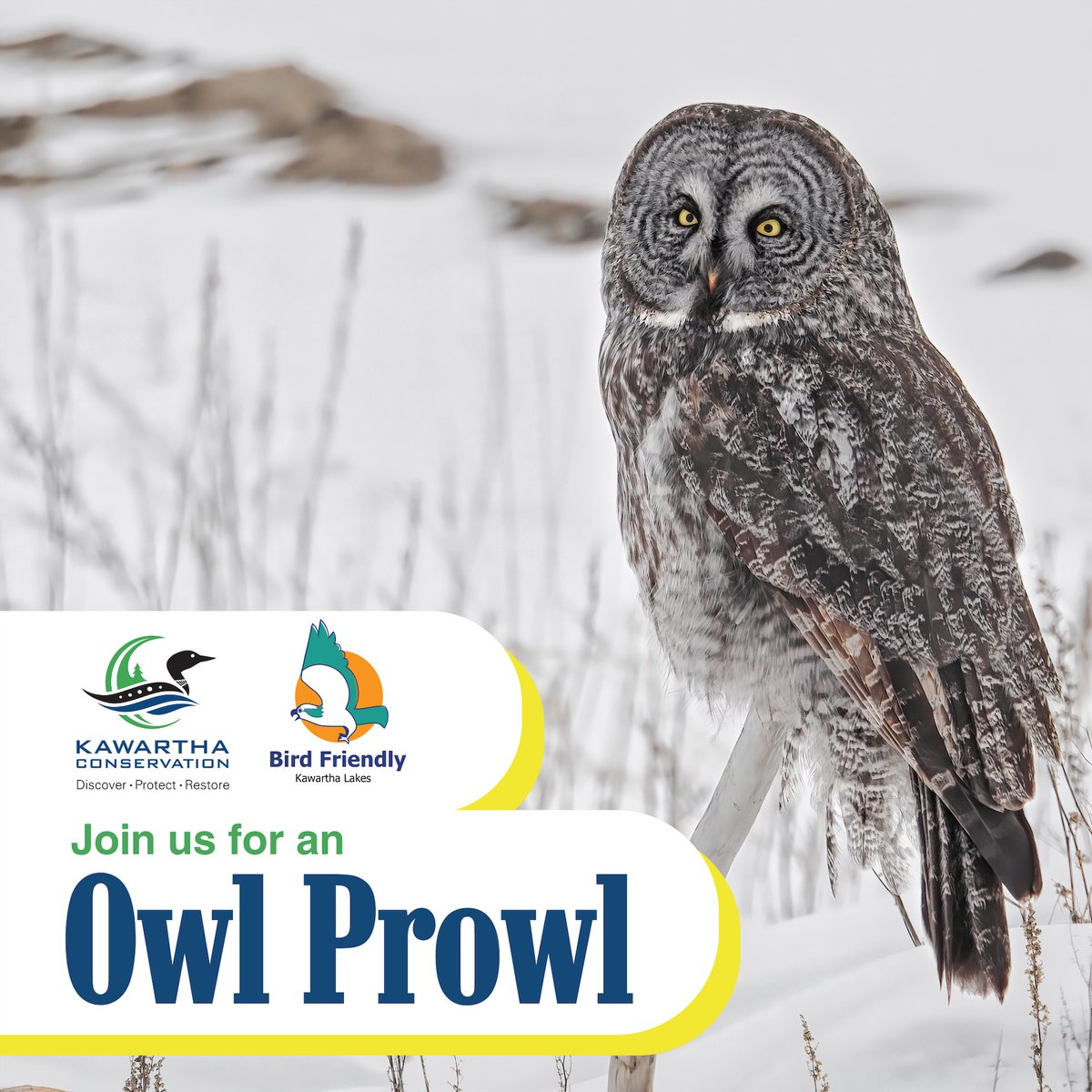 KawarthaConservation tweet media