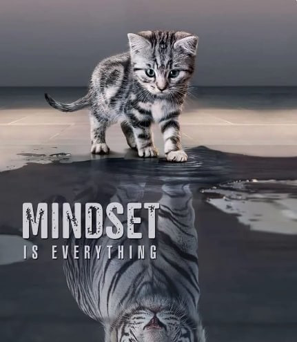 Emily🌹🌎💞 (@emily56ff22) on Twitter photo 