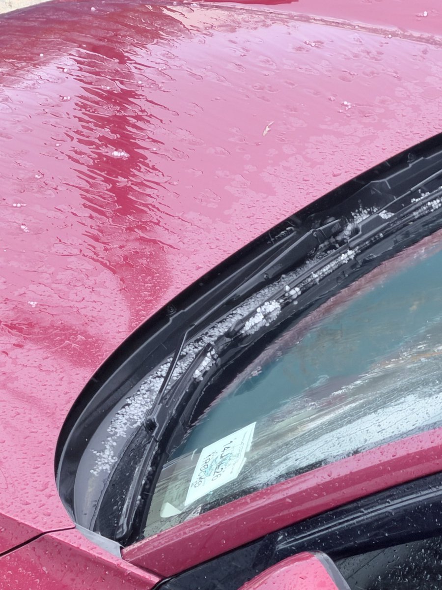 Bongy’s Mom #️⃣2️⃣2️⃣🏏🇧🇲 tweet media