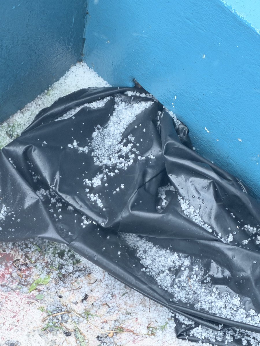 Bongy’s Mom #️⃣2️⃣2️⃣🏏🇧🇲 tweet media