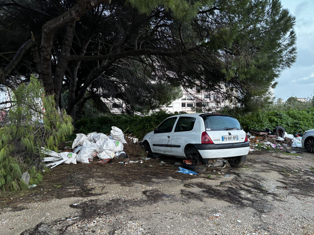 brunicos's tweet photo. @Moedas é urgente uma limpeza no terreno da paróquia São Francisco de Assis na Penha de França. Uma montanha (literal) de lixo, viaturas abandonados e uma grande quantidade de ratos na zona. Obrigado https://t.co/Ak9sHlnanV