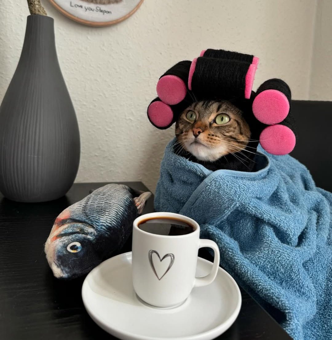 أنا وبعض الصالحات اللي لسا ما فرزنا ولا شي لرمضان ... لأن نحب. الأكل فرييش