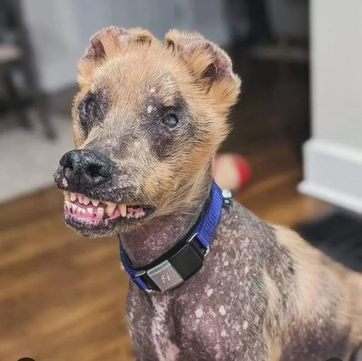 Kristina Bolten tweet media