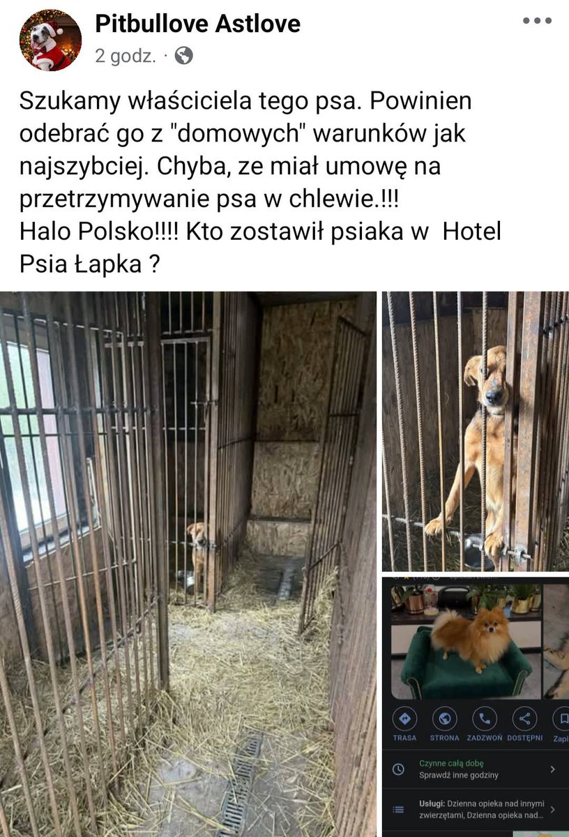 Robwalka Wolf tweet media