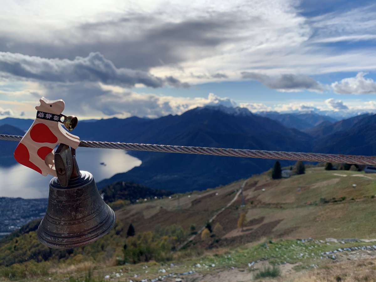 Happy Lilly tweet media