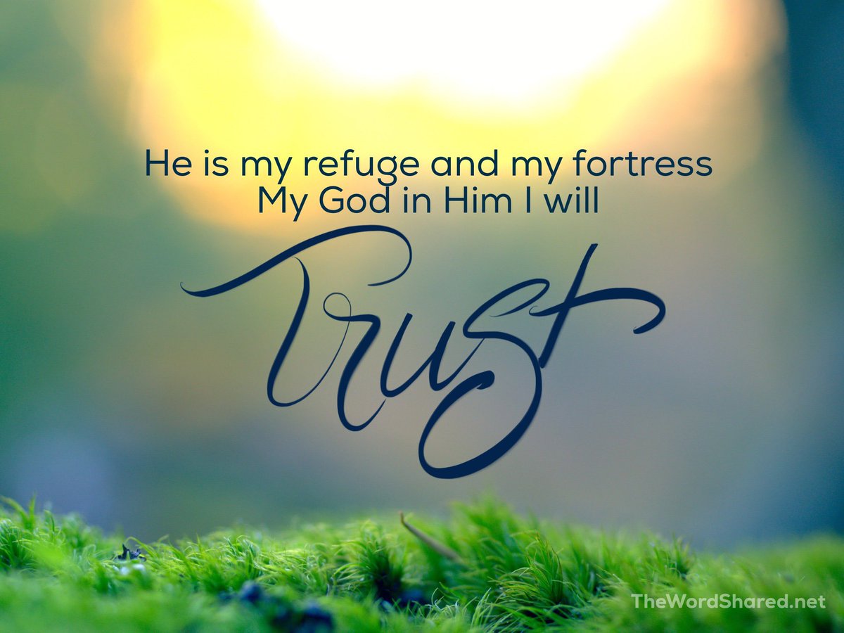 lubalush's tweet photo. I will say of the LORD, “He is my refuge and my fortress; My God, in Him I will trust.”

Psalm 91:2🙏 https://t.co/9nsNL76Jie