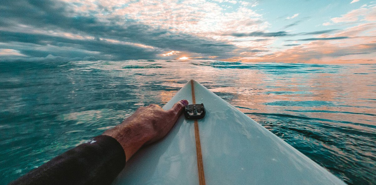 Super Monitoring tweet media