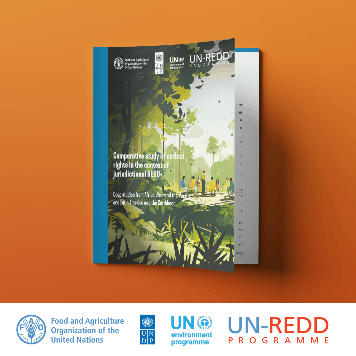 FAO Forestry tweet media