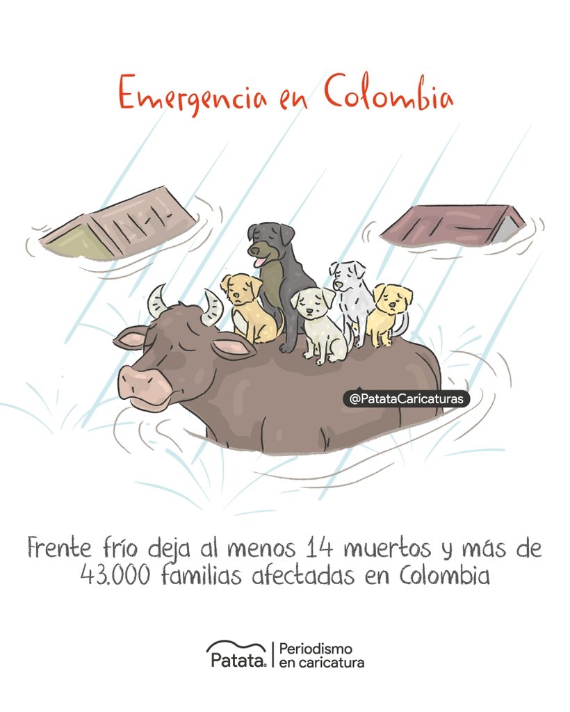 Patata Caricaturas tweet media