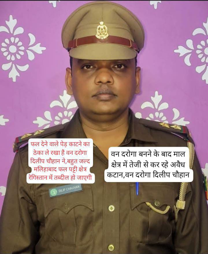 लखनऊ
वन_रेंज_मलिहाबाद क्षेत्र के गुमसेना गांव में तीन 3 दर्जन से अधिक फलदाई आम के पेड़ों पर वन दरोगा दिलीप चौहान की मिली भगत से चलाया गया आरा 

लकड़ी माफियाओं से मिलकर वन दरोगा दिलीप चौहान की संलिप्ता हो रही उजागर

बीट प्रभारी से वन दरोगा का चार्ज सम्भालते ही क्षेत्र में तेजी से