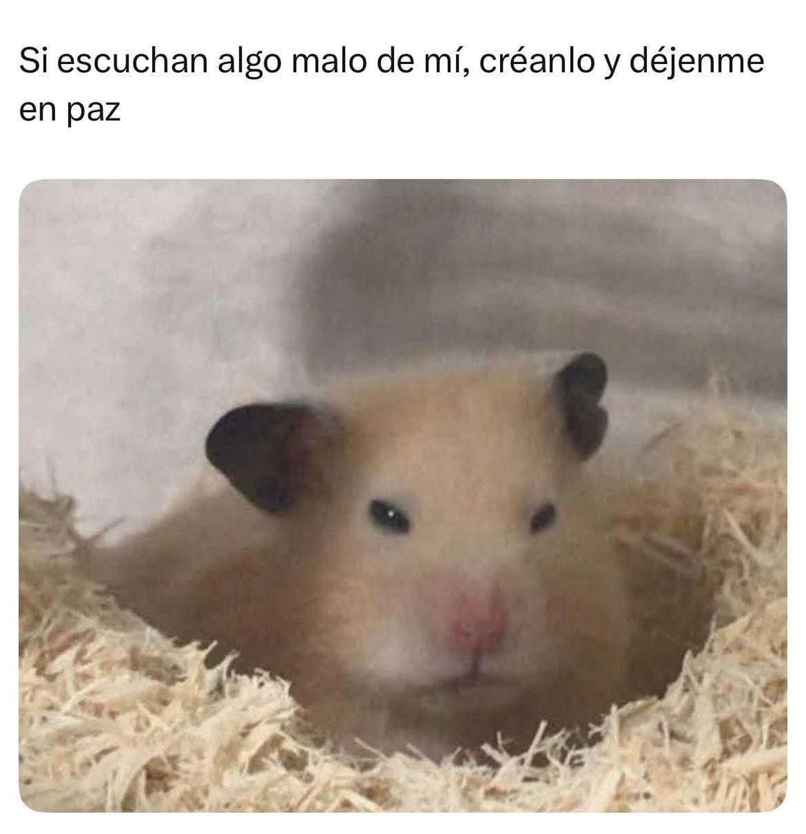 MexicoMagico's tweet image. 