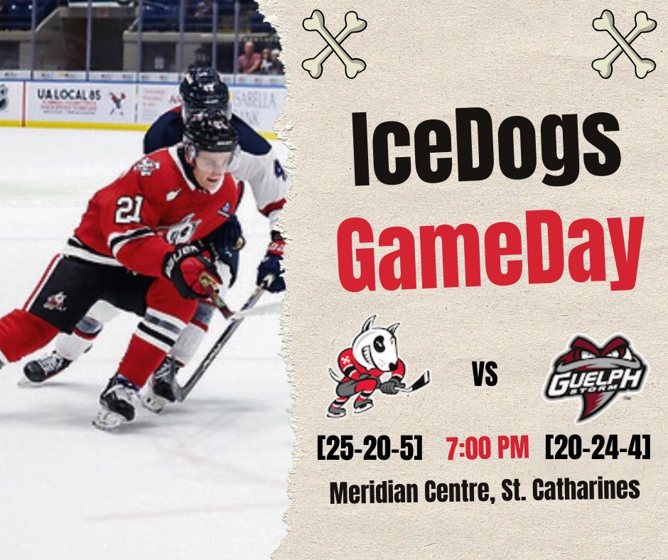 IceDogsReport's tweet image. The IceDogs are having their first matchup with the Guelph Storm tonight as they play their third game of the weekend.

The Dogs have had a good start to the weekend picking up 3 of 4 possible points in their two contests against London and Kitchener. The Dogs are looking to end…