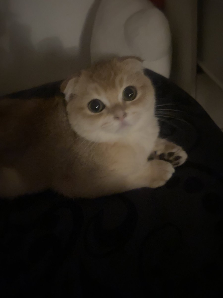 في حال اشتقتوا لمطحس