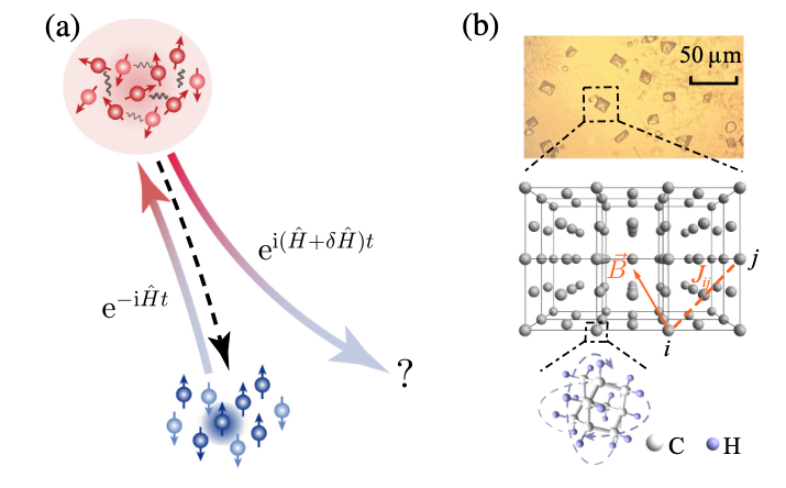 A combined experimental and theoretical study reveals the emergence of quantum chaos in a complex system, suggesting that it can be described with a universal theoretical framework.
PRL: go.aps.org/3ZYoga9
PhysMag: go.aps.org/4a5NitV