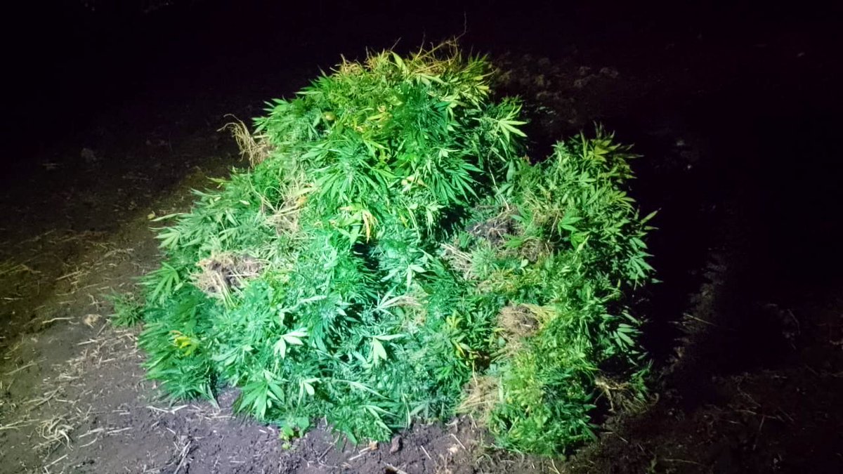 Ejército de Guatemala tweet media