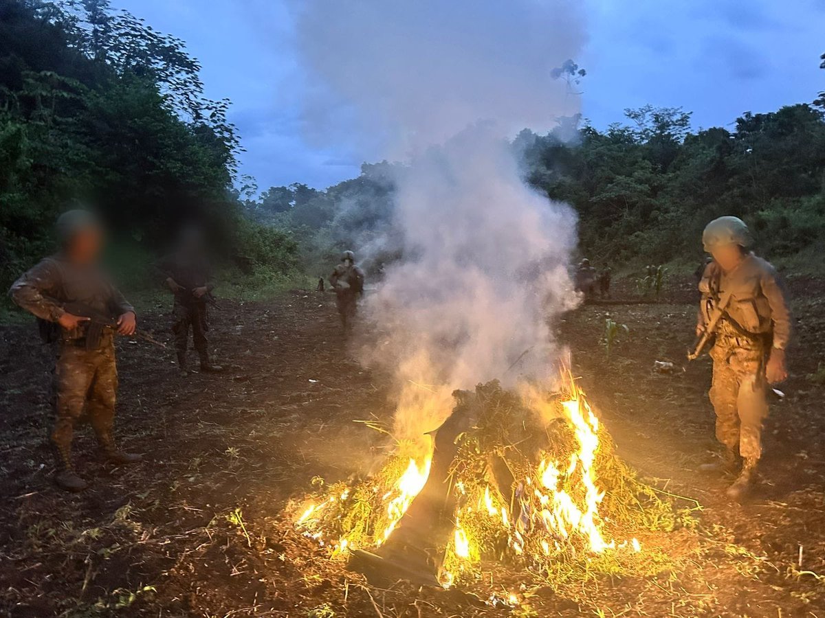 Ejército de Guatemala tweet media