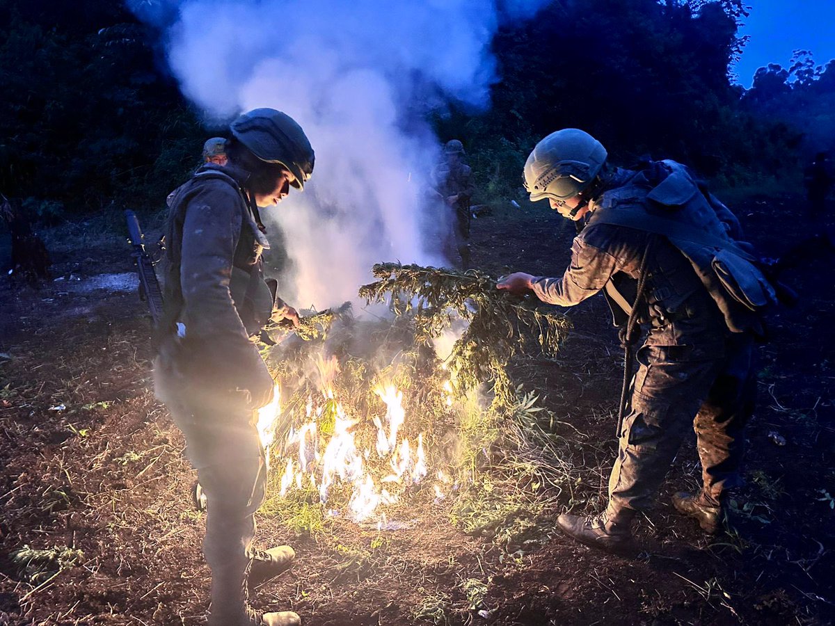 Ejército de Guatemala tweet media