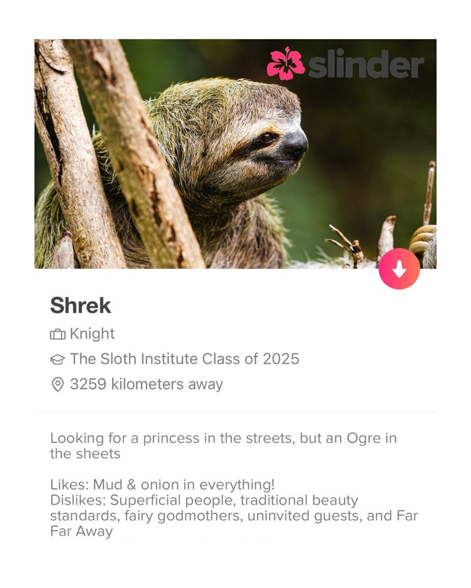 The Sloth Institute tweet media
