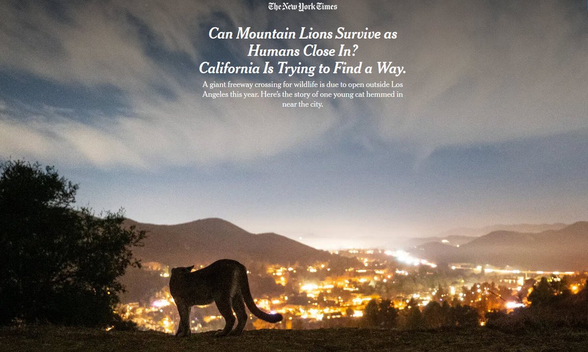 Beth Pratt tweet media