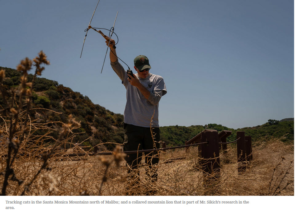 Beth Pratt tweet media